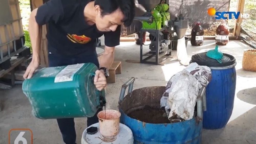 Petani Trenggalek Ubah Limbah Rumen Hewan Kurban Jadi Pupuk Organik, Ternyata Manfaatnya Seabrek