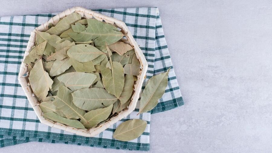 Tak Hanya Bumbu Aromatik, Ini Manfaat Daun Salam yang Bisa Turunkan Kolesterol