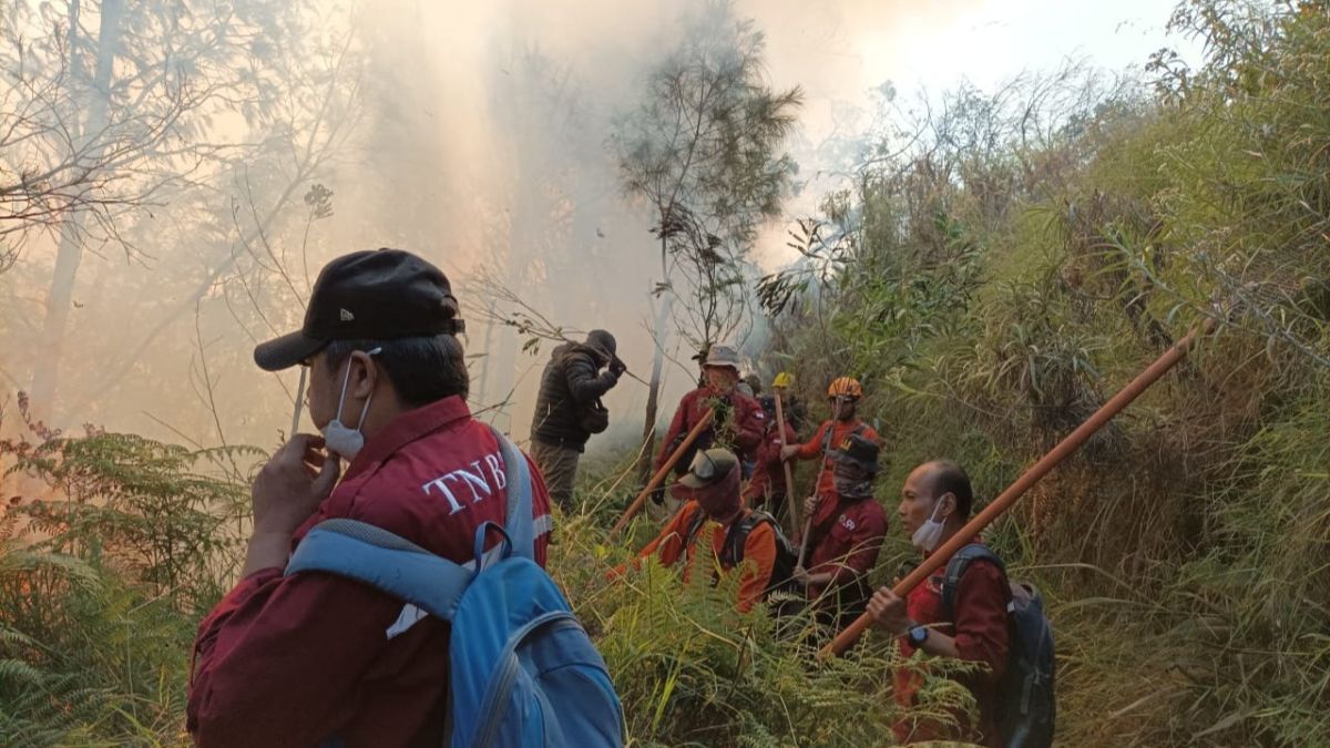 Kronologi Gunung Bathok Kebakaran, Api Mengarah ke Bromo