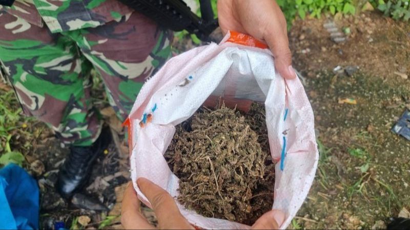 Patroli di Perlintas Ilegal, TNI Temukan 1,2 Kilogram Ganja Kering