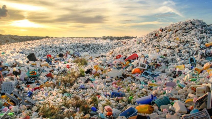 Dari Masalah Jantung Hingga di Testikel, Ketahui Bahaya Paparan Mikroplastik Terhadap Tubuh Kita