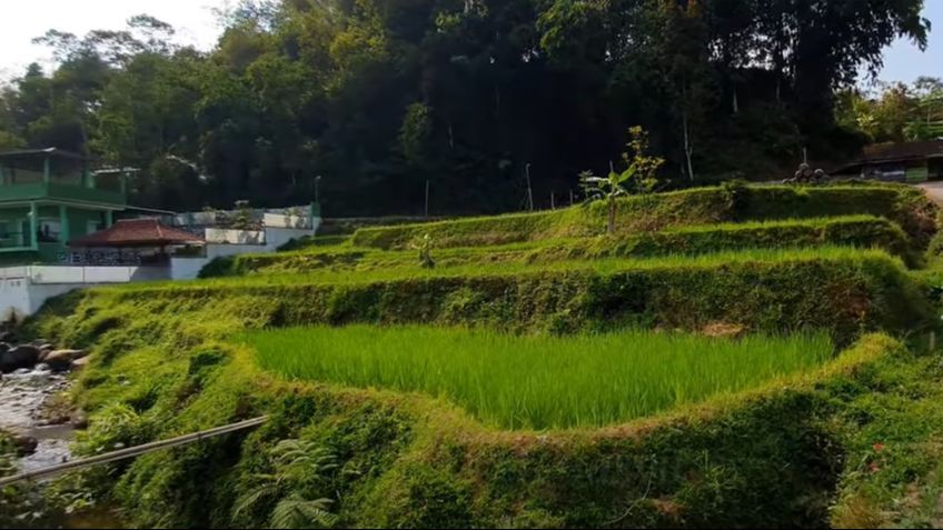 Disebut Ajaib, Sumber Mata Air Ini Ditaksir Oleh Perusahaan Air Minum