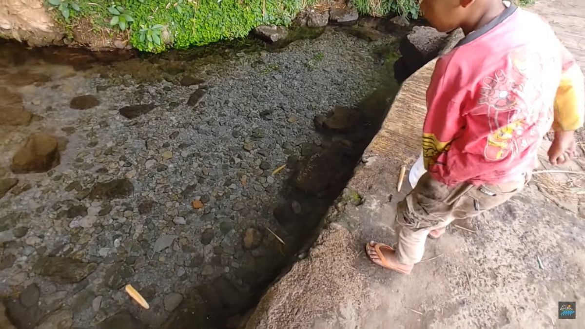 Potret Kolam Alami di Pinggir Sawah Pedesaan Garut, Airnya Bisa Langsung Diminum