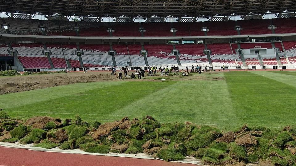 Potret Rumput Stadion GBK Ditanam Secara Manual, Eks Pelatih Timnas Futsal Sampai Bilang 'Ini Bukan Sawah'