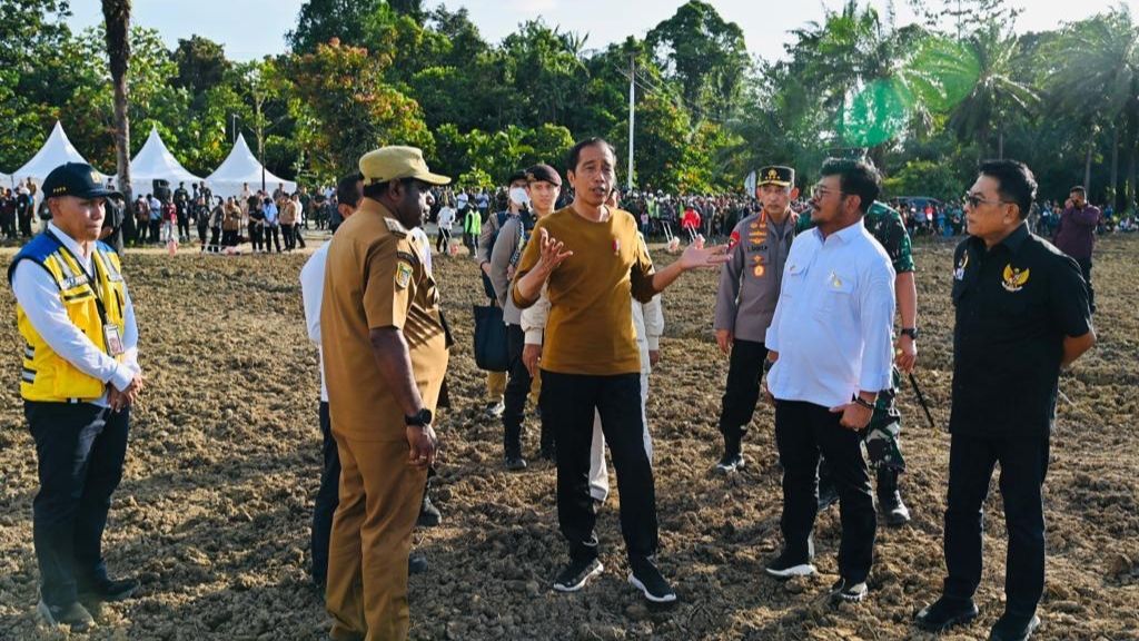 Jokowi Cari Investor untuk Proyek Food Estate