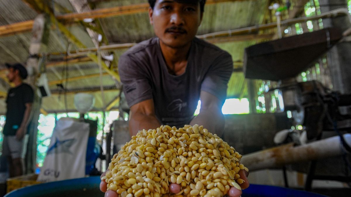 FOTO: Jerit Perajin Tahu Imbas Mahalnya Harga Kedelai di Tengah Kenaikan Dolar AS, Terpaksa Perkecil Ukuran