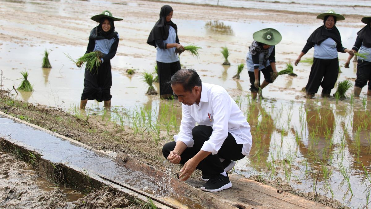 Ini Besaran Jatah Harga Rumah Pensiun Jokowi di Karanganyar