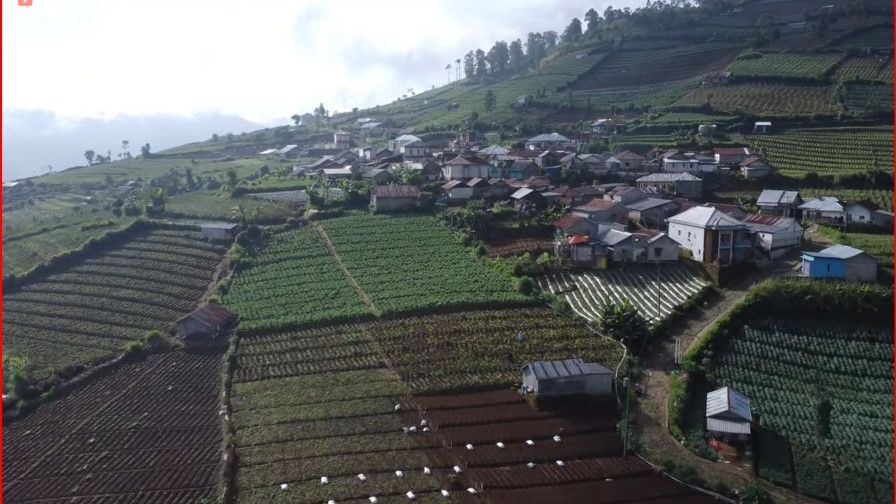 Keindahan Desa Tertinggi di Pekalongan yang Selalu Berselimut Kabut, Berada pada Ketinggian di Atas 1.000 MDPL