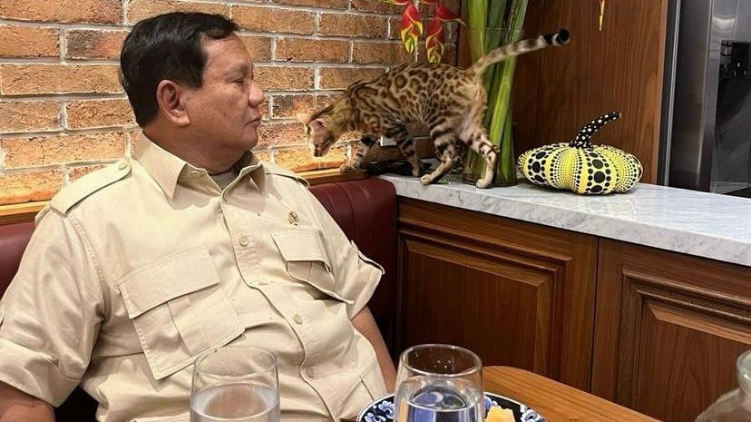 NasDem Undang Prabowo-Gibran ke Kongres III Partai, Bakal Tawarkan Program Kerja Sama