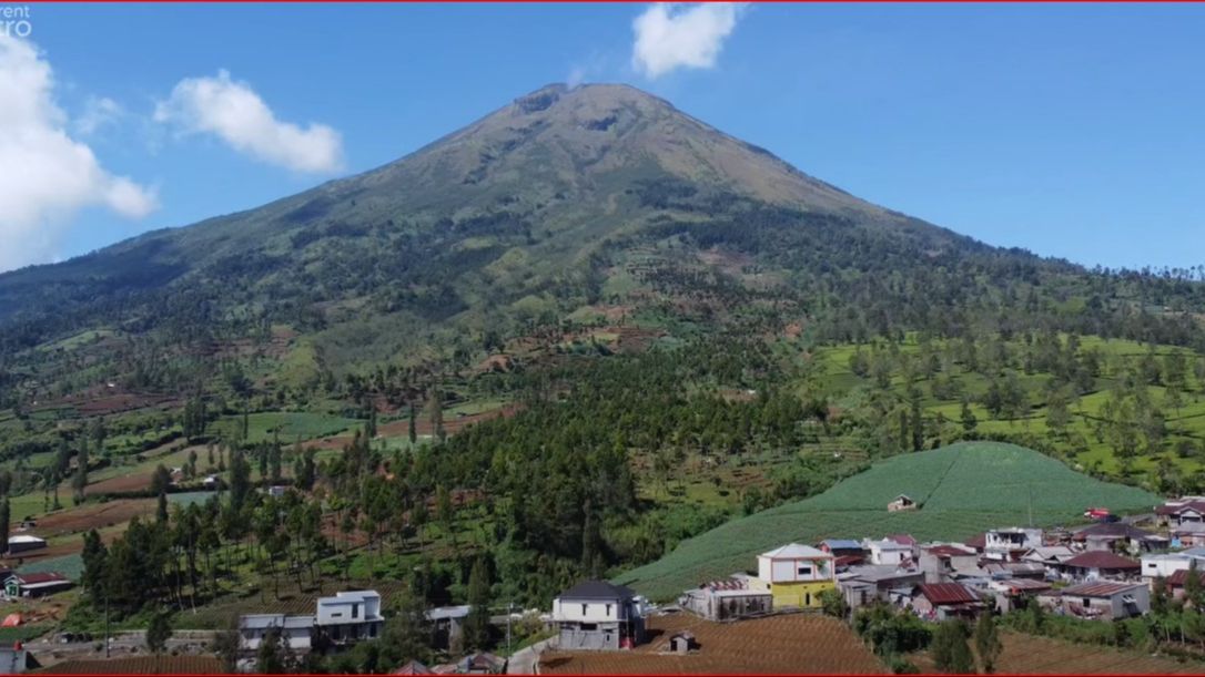 Menilik Keindahan Perkampungan di Lereng Gunung Sindoro, Mayoritas Warga Bekerja Sebagai Pemetik Teh