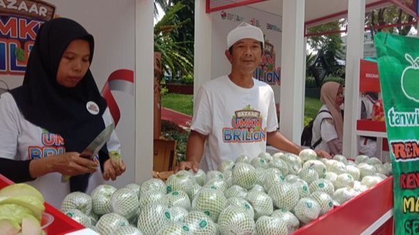 KUR BRI Dorong Kemajuan Klaster Jambu Kristal di Purworejo