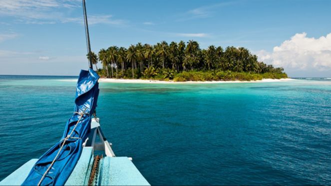 Menyusuri Taman Nasional Siberut, Hutan Hujan Tropis di Pulau Mentawai yang Kaya Keanekaragaman Hayati