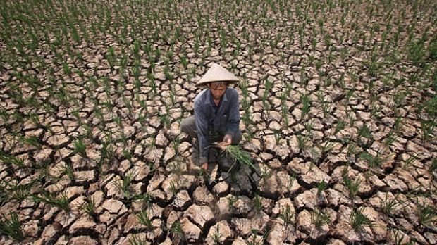 Sepuluh Kabupaten di Jateng Diprediksi Alami Kekeringan Meteorologis pada Musim Kemarau, Ini Faktanya