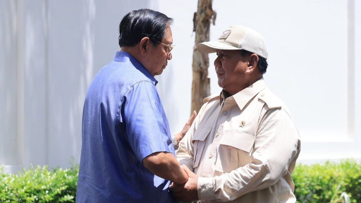 SBY Puji Prabowo Mau Kirim Pasukan Perdamaian ke Palestina: You are on The Right Track