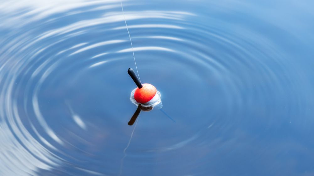 Sedang Mancing di Danau, Pasangan Ini Dapat Brankas Berisi Uang Senilai Rp 1,6 Miliar