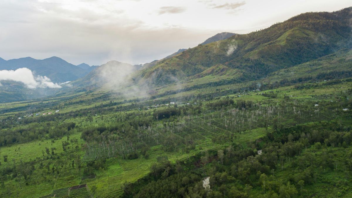 Terungkap, Ini Kisah di Balik Tagar 'All Eyes on Papua' yang Menggema di Medsos