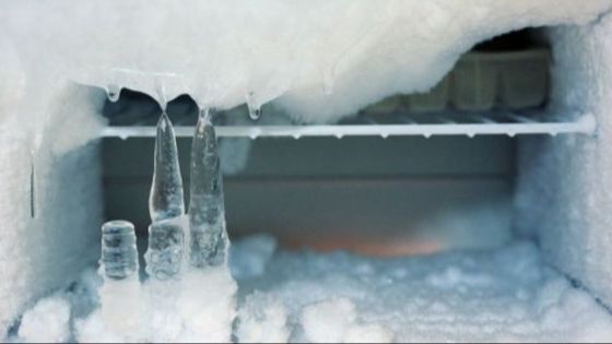 Bukan Kipas Angin, Begini Trik Bersihkan Bunga Es Freezer dengan 1 Alat Sederhana