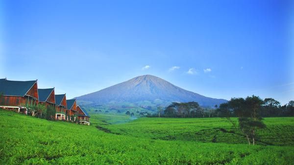 Fakta Unik Kota Pagar Alam, Jumlah Populasi Paling Sedikit di Sumatra Punya Banyak Situs Megalitikum