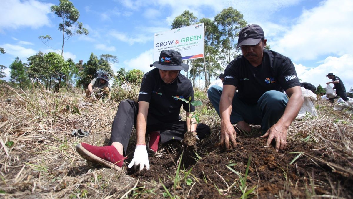 BRI Pulihkan Ekosistem dan Lawan Perubahan Iklim Melalui Program BRI Menanam Grow & Green