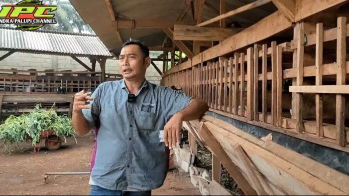 Dulu Bisnis Lada Hancur, Pria Ini Kini Beternak Kambing Sukses Bisa Beli Tanah dan Lunasi Utang