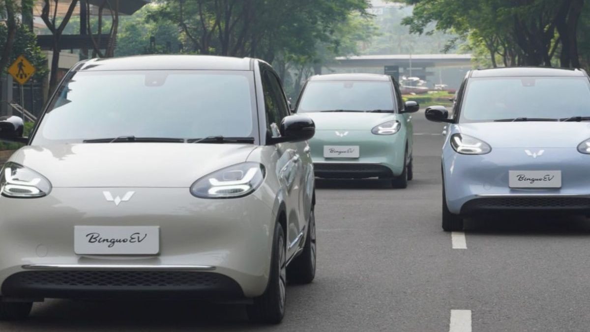 Pilihan Mobil Listrik Wuling di Indonesia, Punya Desain Lucu dan Harganya Ramah di Dompet