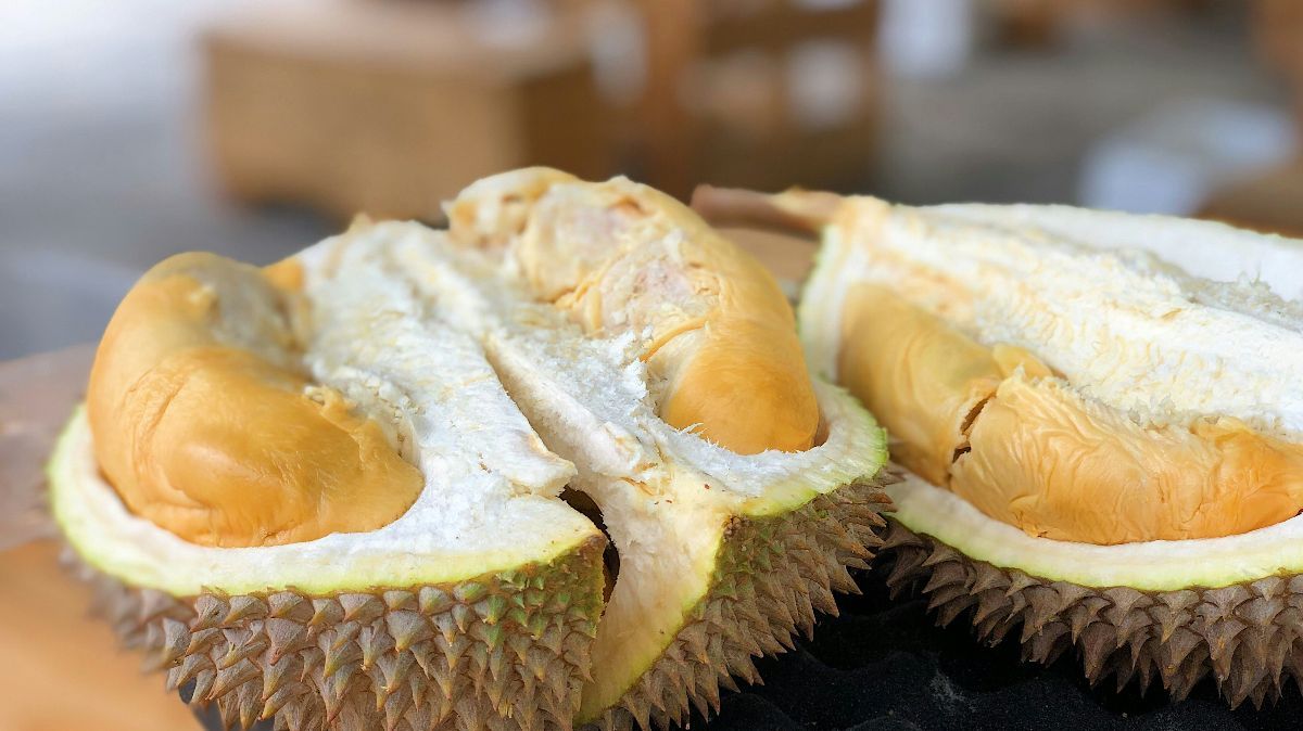 Apakah Ibu Hamil Boleh Makan Durian? Ini Aturannya