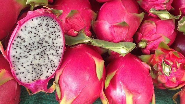 7 Manfaat Buah Naga untuk Promil, Tingkatkan Produksi Hormon