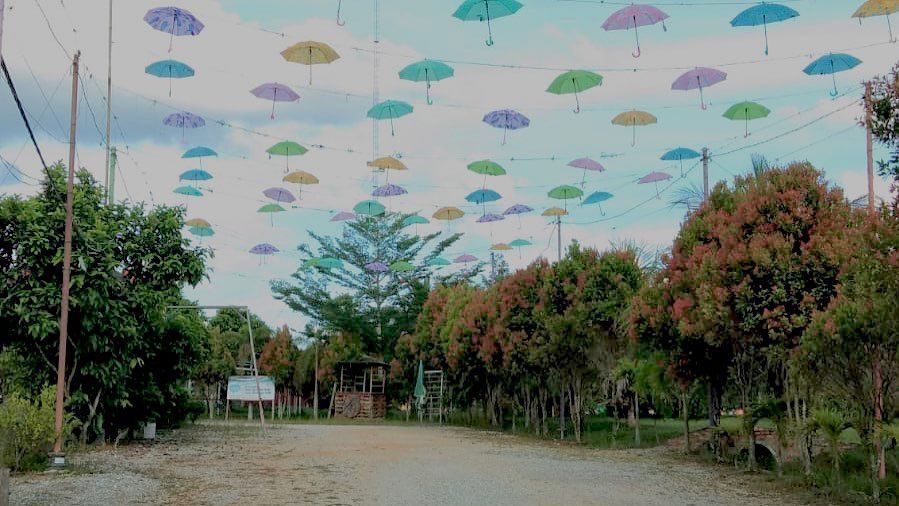 Mengunjungi Agrowisata Nadiin, Cocok untuk Liburan Sembari Belajar Varietas Buah