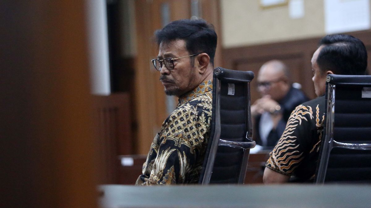 Hakim Vonis SYL 10 Tahun Penjara