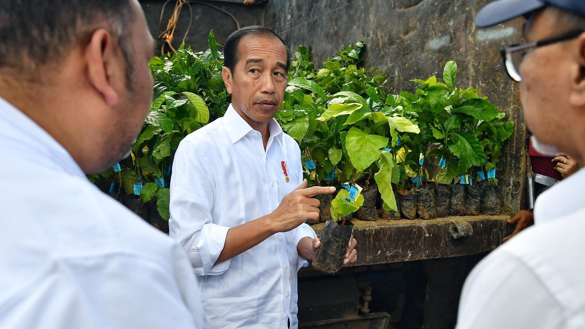 VIDEO: Jokowi Usai Panen Kopi 