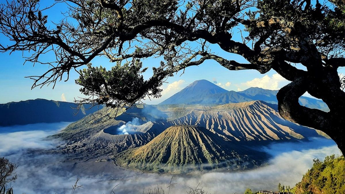 Mengenal Embun Upas, Fenomena yang Kembali Muncul di Wisata Gunung Bromo