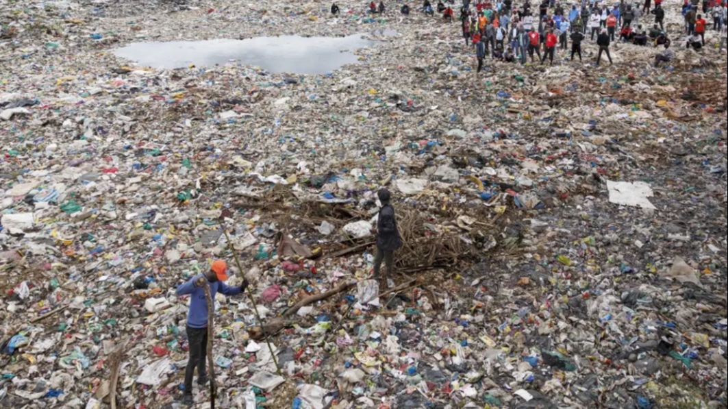 Potongan Tubuh 9 Mayat Perempuan Korban Mutilasi Ditemukan di Pembuangan Sampah, Pelaku Ditangkap Saat Menonton Final Euro