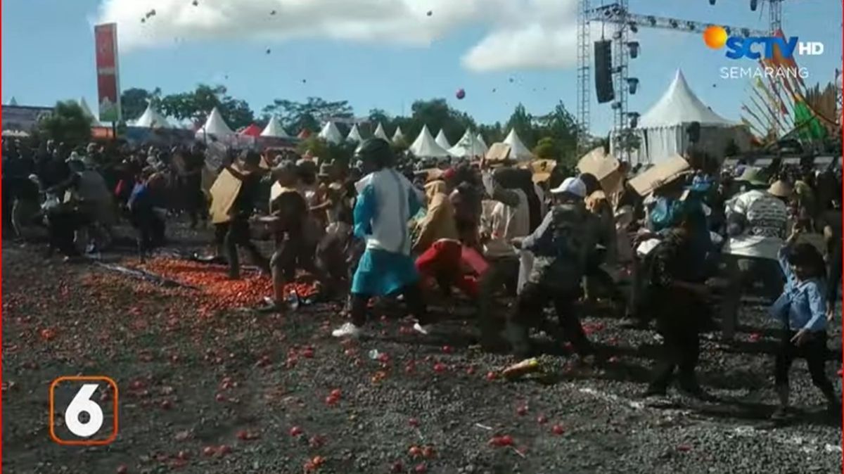 Mengenal Tradisi Perang Tomat di Lereng Gunung Slamet, Wujud Syukur dari Panen Buah Melimpah