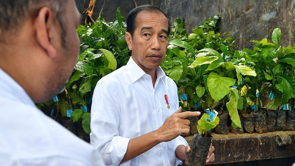 Jokowi: Pansus Angket Haji 2024 Hak DPR