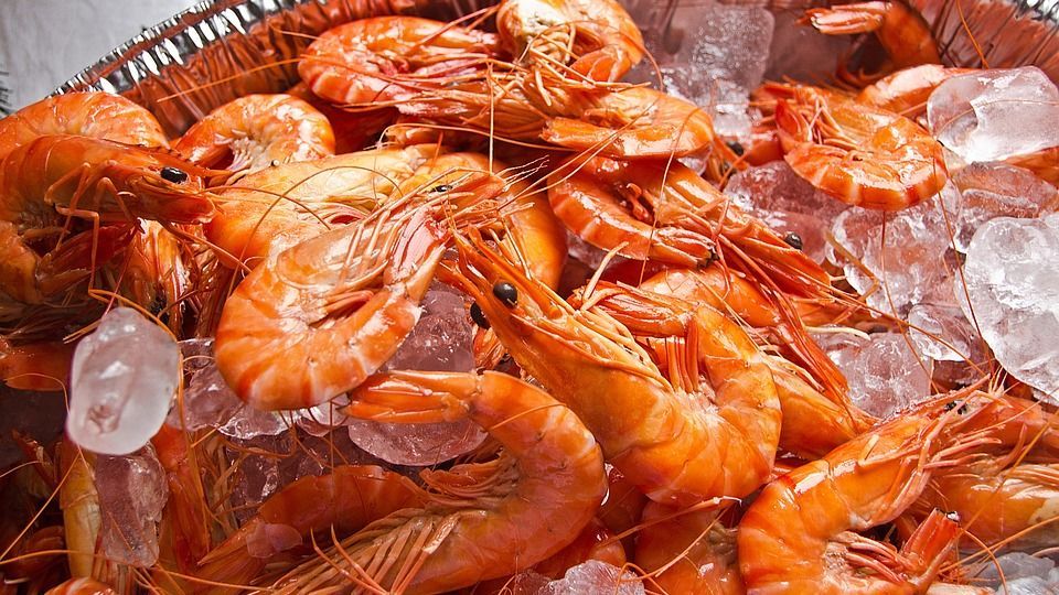 10 Manfaat Kulit Udang untuk Kesehatan, Efektif Turunkan Kolesterol