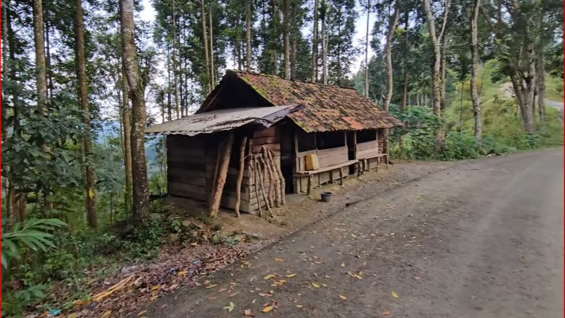 Warung Tengah Hutan di Banjarnegara Ini Konon Telah Berusia Satu Abad, Begini Penampakannya