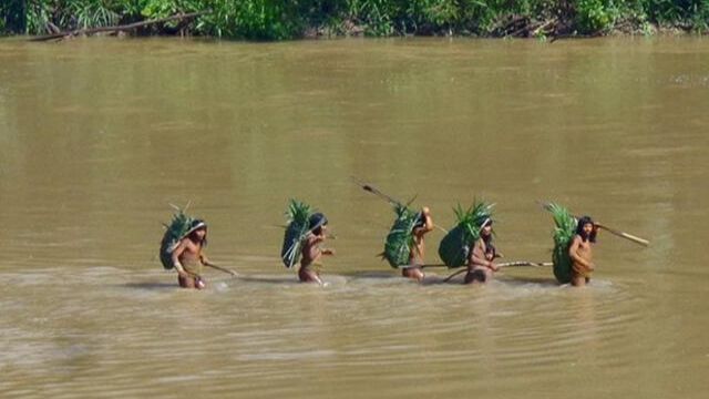 Pemandangan Langka, Suku Terasing di Amazon Muncul di Dekat Lokasi Penebangan Hutan, Begini Penampakannya