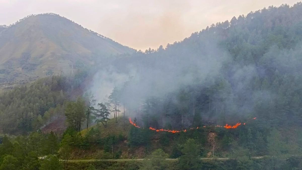 300 Hektare Hutan Lindung di Danau Toba Terbakar, Ini Penyebabnya