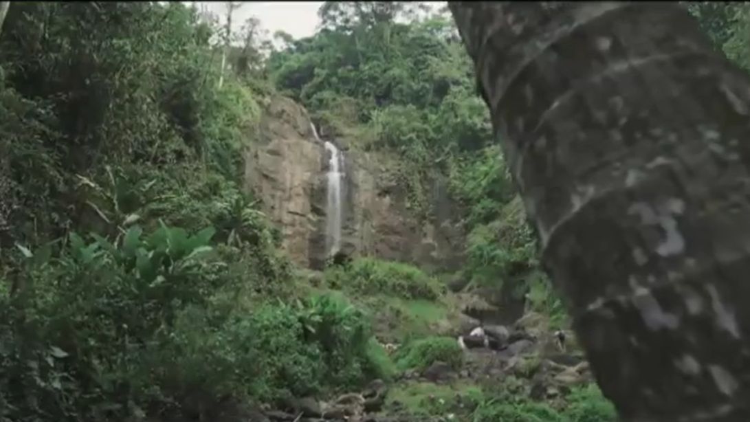 Pesona Curug Cina, Air Terjun di Balik Rindangnya Hutan Subang yang Bikin Betah