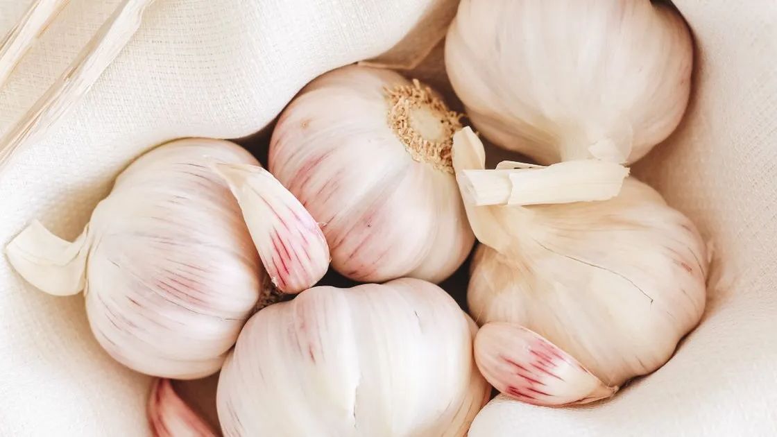 Manfaat Golden Garlic untuk Kesehatan, Bawang yang Punya Sebutan Istimewa