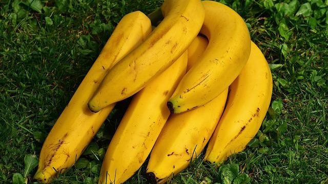 Tak Dijumpai di Wilayah Lain, Majalengka Kenalkan Varietas Pisang Apuy dan Bawang Nunuk yang Punya Rasa dan Tekstur Spesial