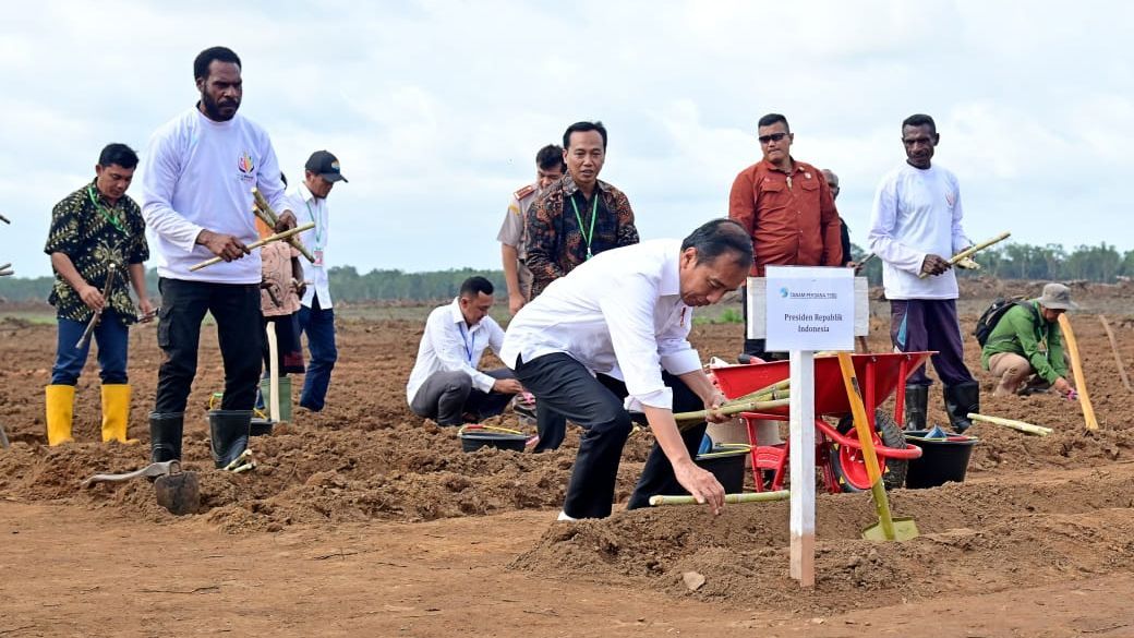 Tanam Tebu di Merauke, Jokowi: Kemandirian Pangan & Ketahanan Pangan Harus Jadi Konsentrasi