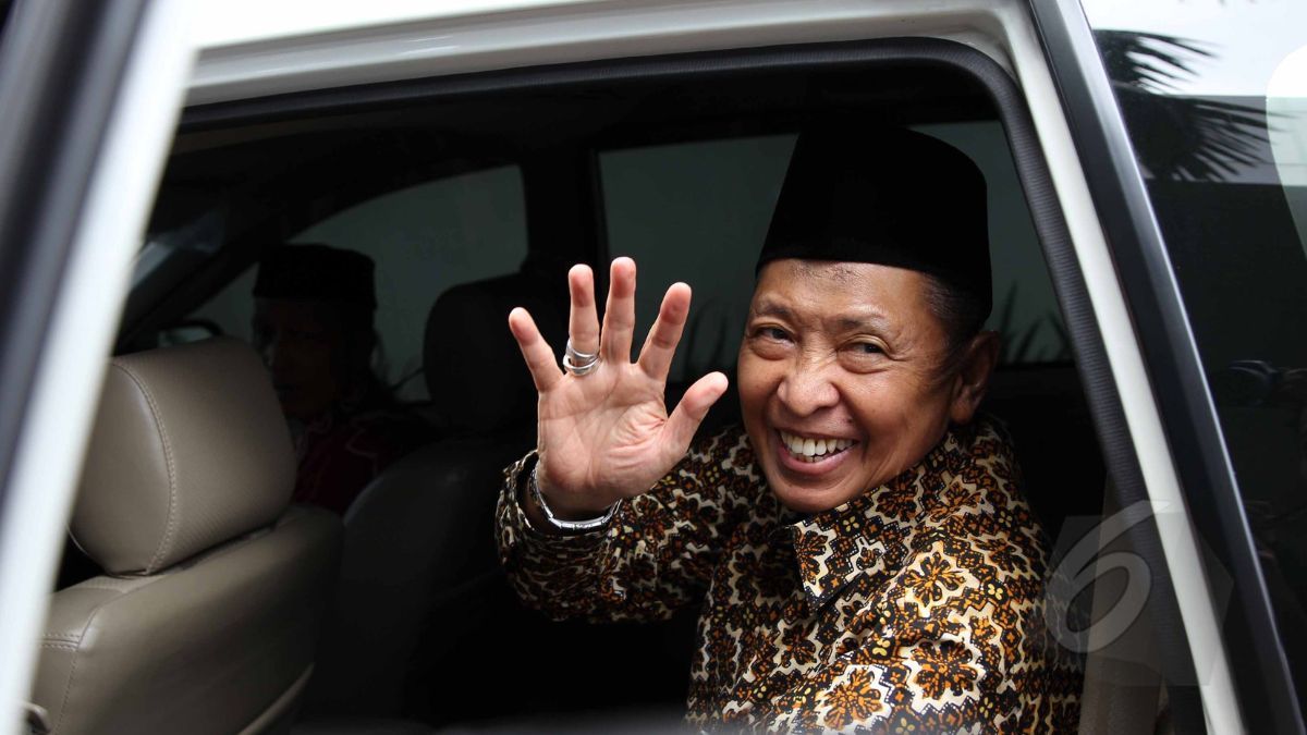 Karir Politik Hamzah Haz, Kiai NU Jadi Wapres 3 Tahun Dampingi Presiden Megawati