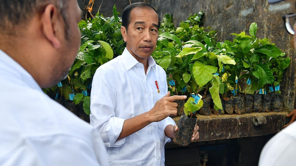 Jokowi Takziah ke Rumah Duka Hamzah Haz Siang Ini