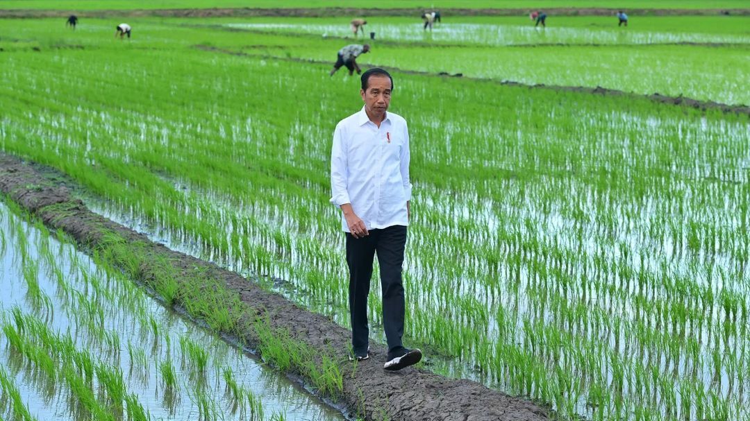 VIDEO: Jokowi Bicara Kegagalan Proyek Pangan Singgung Prabowo 