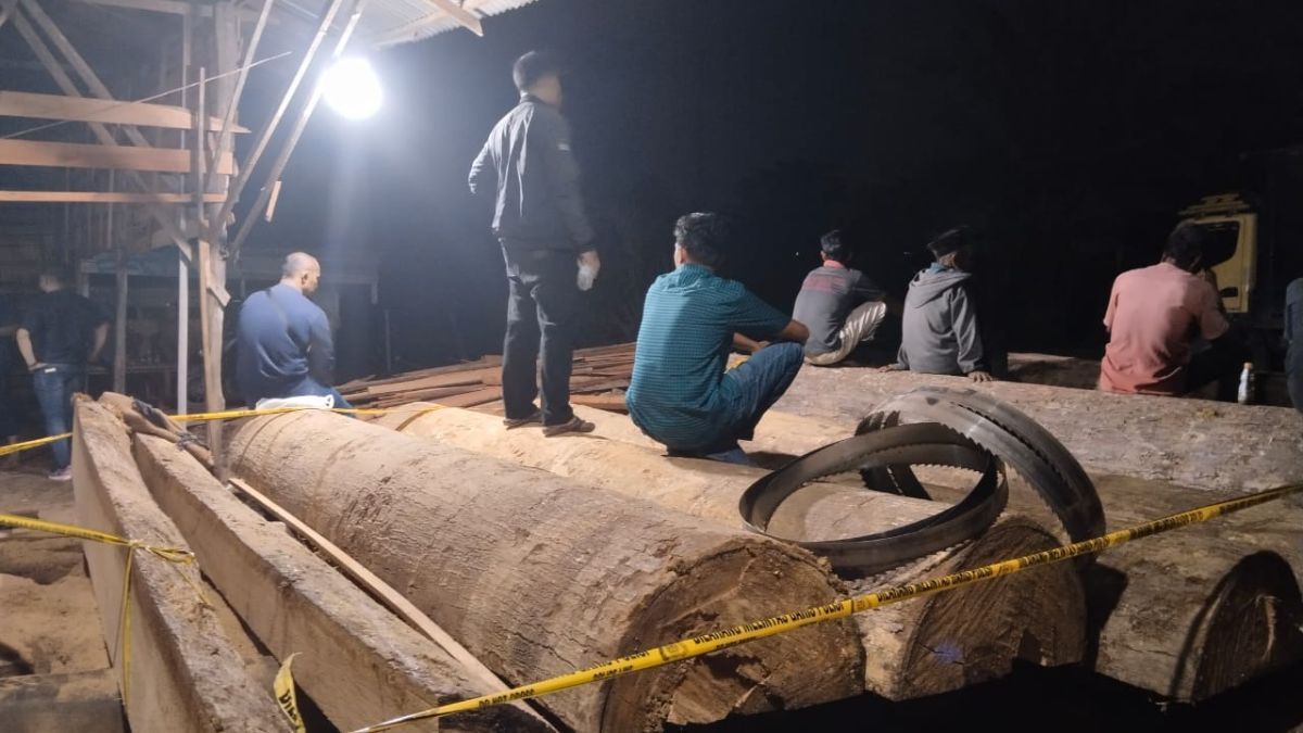 Lokasi Pengolahan Kayu Hutan Besar di Kampar Terbongkar, 5 Orang Diringkus Polisi