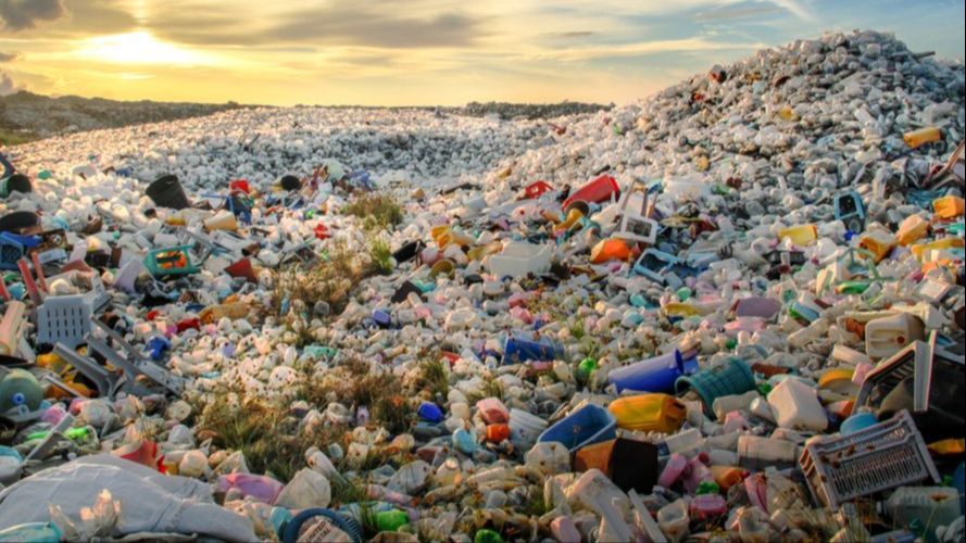 Benarkah Plastik Terkandung di Aliran Darah yang Tersumbat? Begini Kata Peneliti