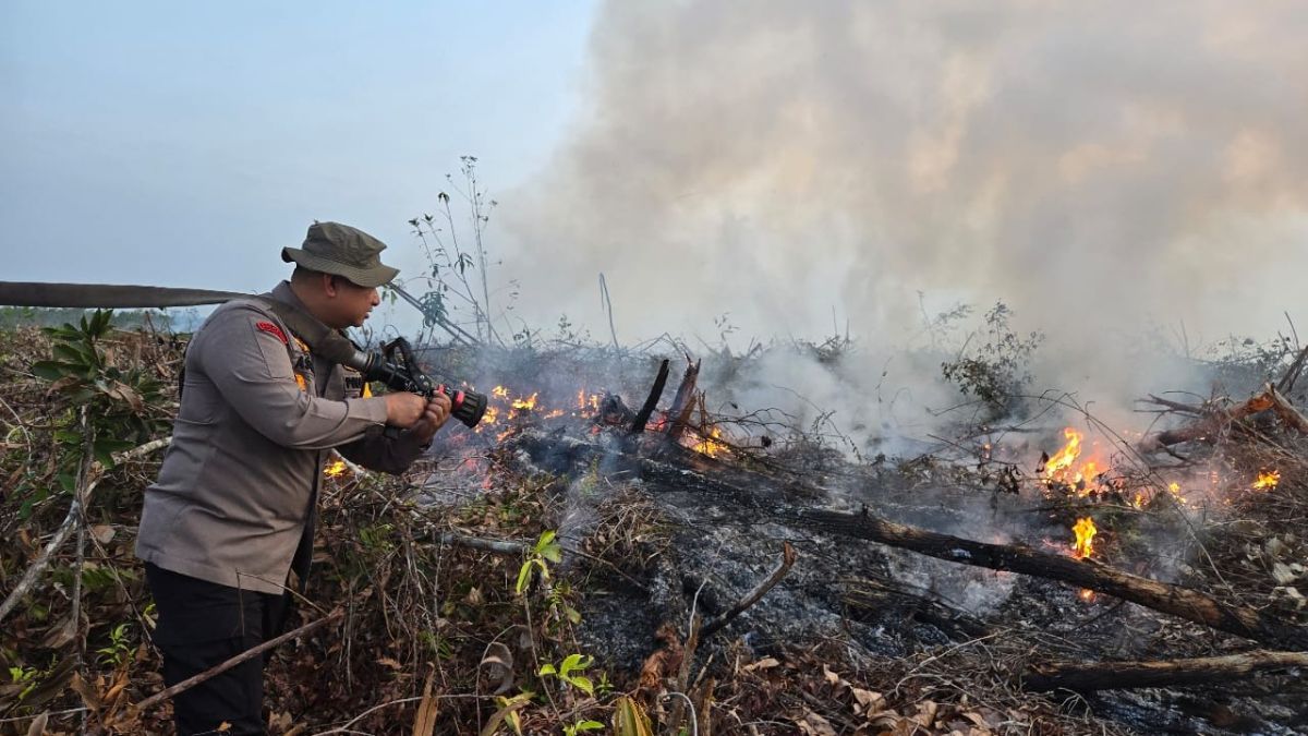 Lahan Perbatasan Hutan Lindung di Riau Terbakar, 40 Personel Pemadam Dikerahkan