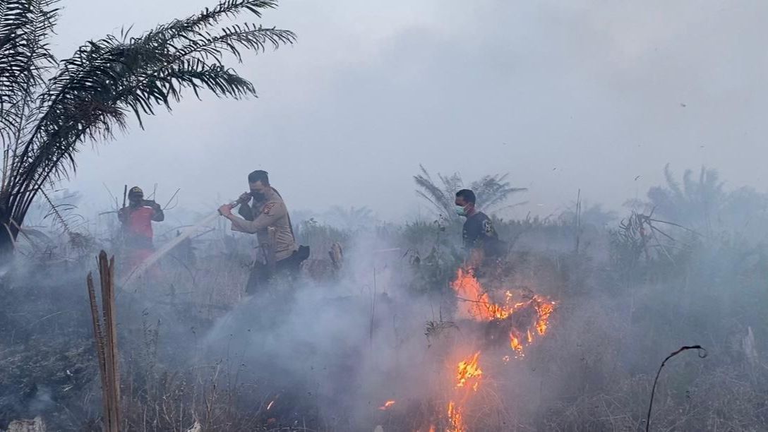 10 Hektare Lahan Perusahaan Sawit di Pelalawan Terbakar