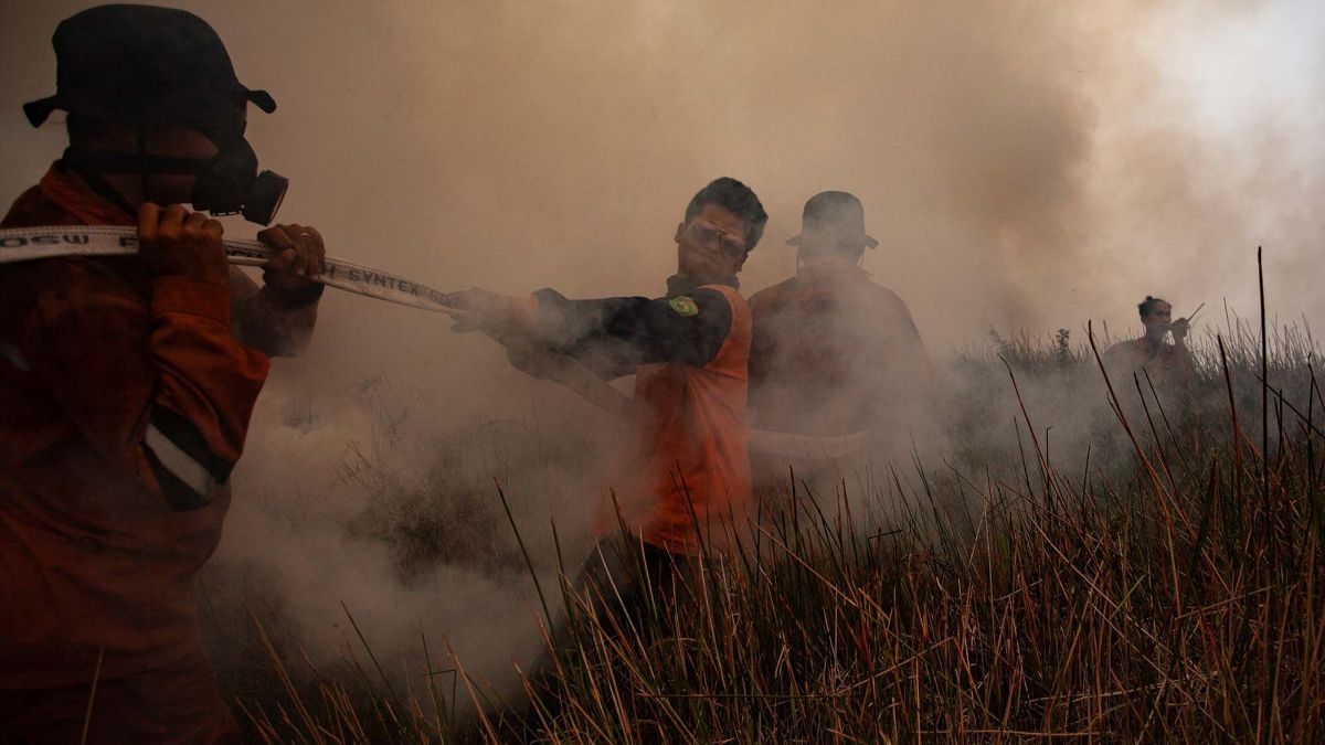 Demi Kelabui Petugas, Ini Trik Licik Digunakan Warga Saat Bakar Hutan untuk Buka Lahan